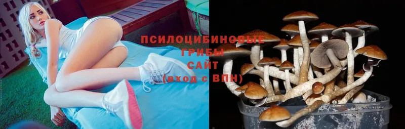 цены   KRAKEN как войти  Галлюциногенные грибы MAGIC MUSHROOMS  Дмитриев 